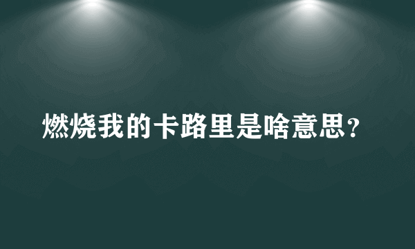 燃烧我的卡路里是啥意思？