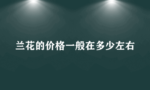 兰花的价格一般在多少左右