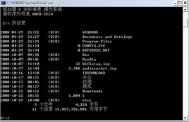 Console.Writeline()什么意思