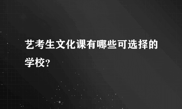 艺考生文化课有哪些可选择的学校？