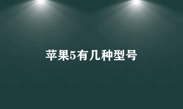 苹果5有几种型号