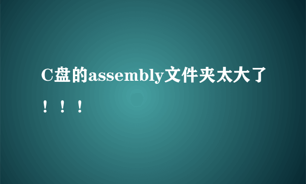 C盘的assembly文件夹太大了！！！