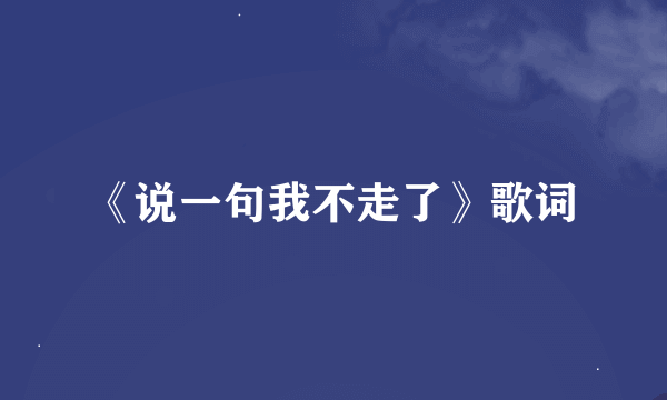 《说一句我不走了》歌词