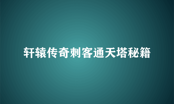 轩辕传奇刺客通天塔秘籍