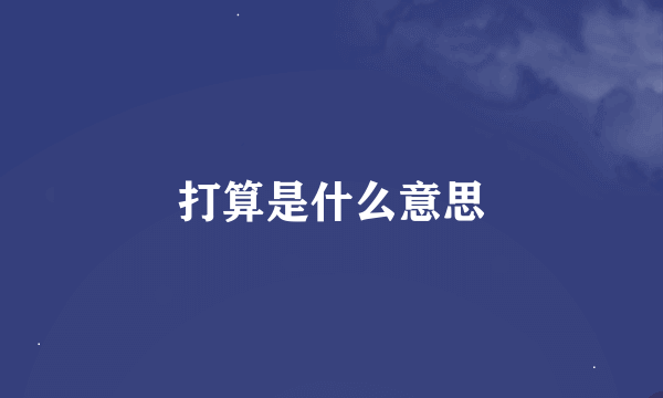 打算是什么意思