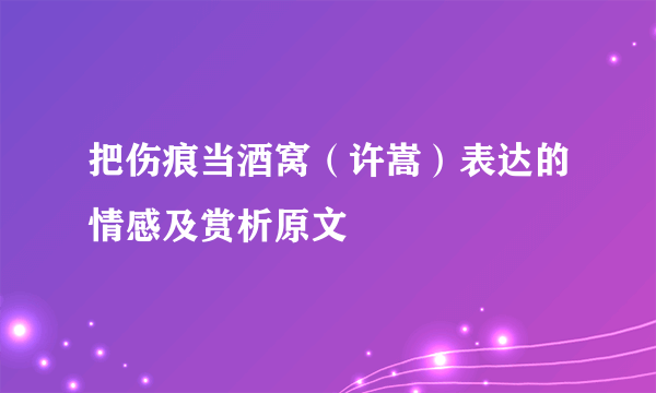 把伤痕当酒窝（许嵩）表达的情感及赏析原文