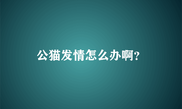 公猫发情怎么办啊？