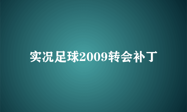 实况足球2009转会补丁