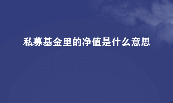 私募基金里的净值是什么意思