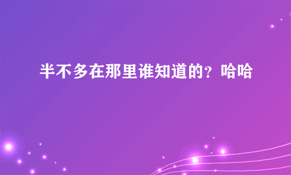 半不多在那里谁知道的？哈哈