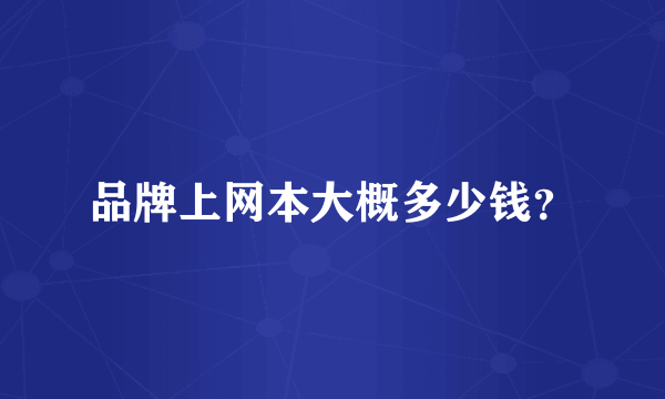 品牌上网本大概多少钱？