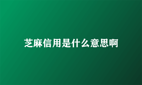 芝麻信用是什么意思啊