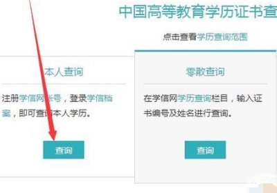 怎么查自己的毕业证和学位证编号