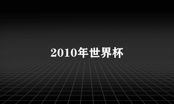 2010年世界杯