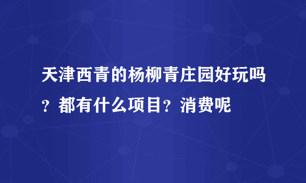 天津西青的杨柳青庄园好玩吗？都有什么项目？消费呢