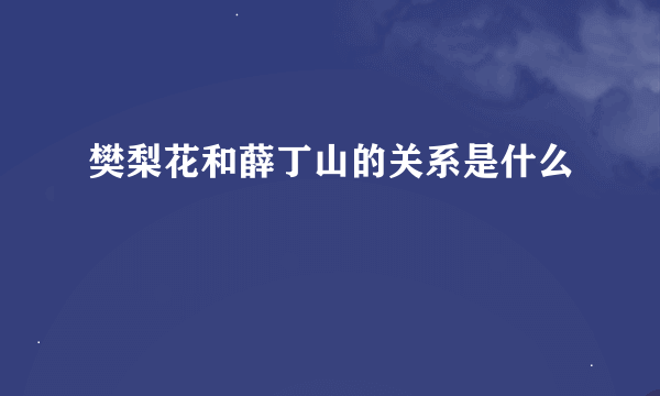 樊梨花和薛丁山的关系是什么