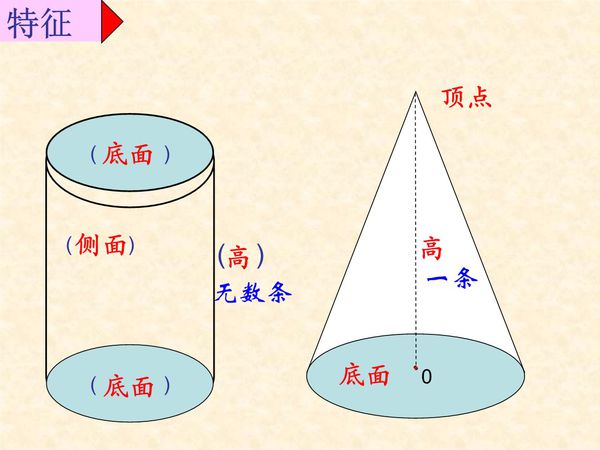 圆柱与圆锥有哪些区别？