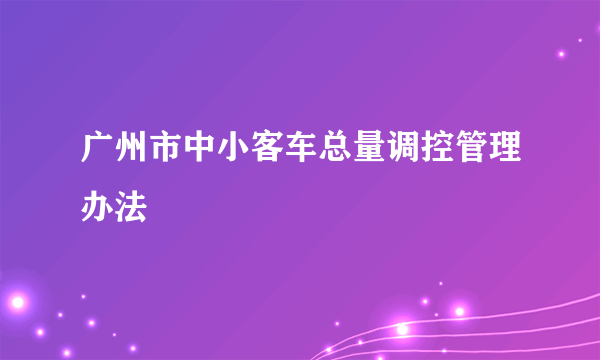 广州市中小客车总量调控管理办法