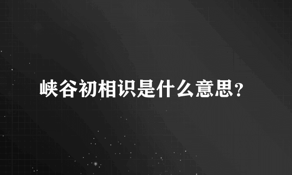 峡谷初相识是什么意思？