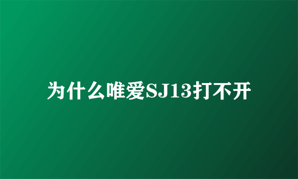 为什么唯爱SJ13打不开