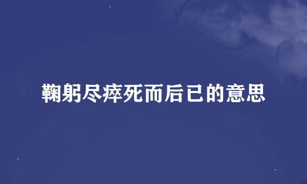 鞠躬尽瘁死而后已的意思