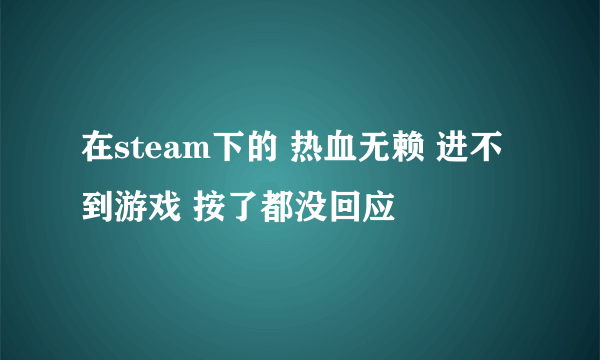 在steam下的 热血无赖 进不到游戏 按了都没回应