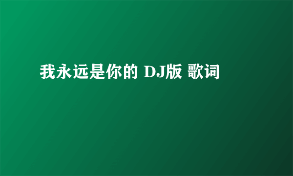 我永远是你的 DJ版 歌词