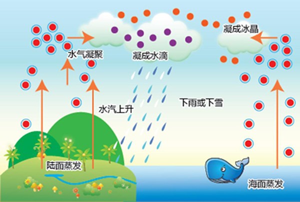 水分和水份有什么区别？