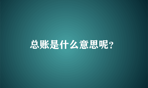 总账是什么意思呢？