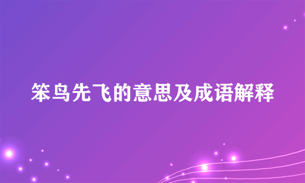 笨鸟先飞的意思及成语解释