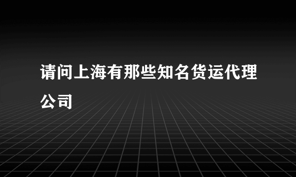 请问上海有那些知名货运代理公司