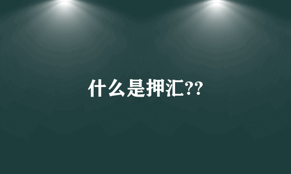 什么是押汇??