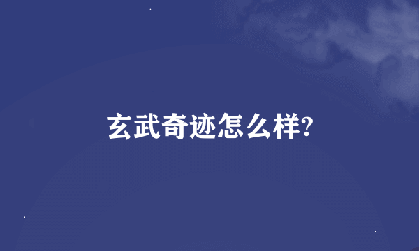 玄武奇迹怎么样?