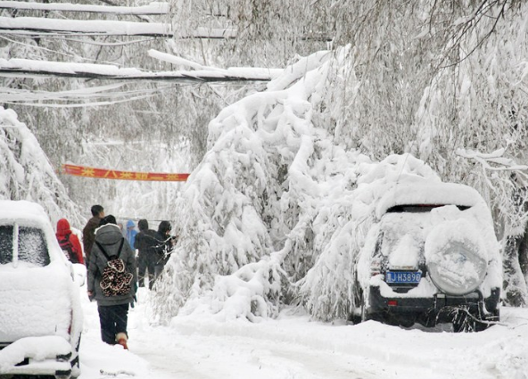 黑龙江再迎暴风雪，积雪已达34厘米，这轮暴雪给当地带来了哪些影响？