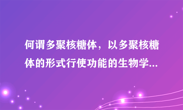 何谓多聚核糖体，以多聚核糖体的形式行使功能的生物学意义是什么