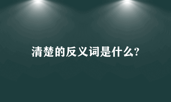 清楚的反义词是什么?