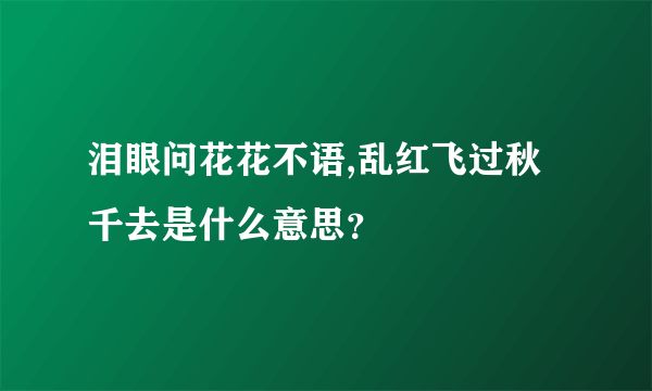 泪眼问花花不语,乱红飞过秋千去是什么意思？