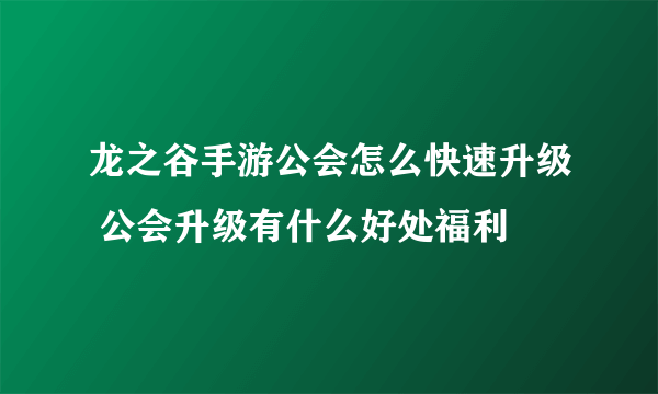 龙之谷手游公会怎么快速升级 公会升级有什么好处福利