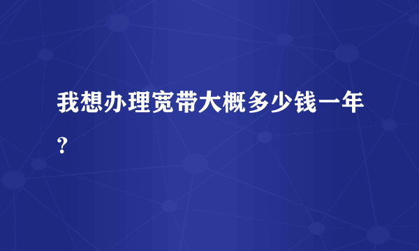 我想办理宽带大概多少钱一年？