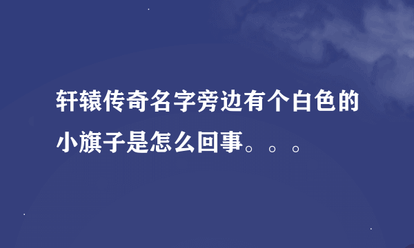 轩辕传奇名字旁边有个白色的小旗子是怎么回事。。。