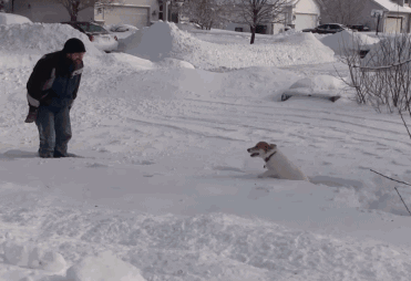 专家称东北多地大暴雪或引发雪灾，该如何应对雪灾？