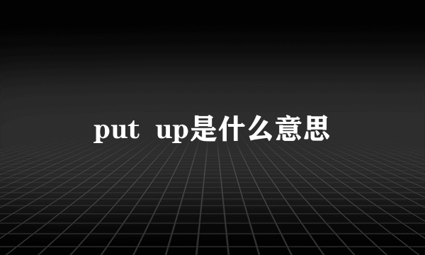 put  up是什么意思