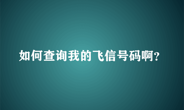 如何查询我的飞信号码啊？