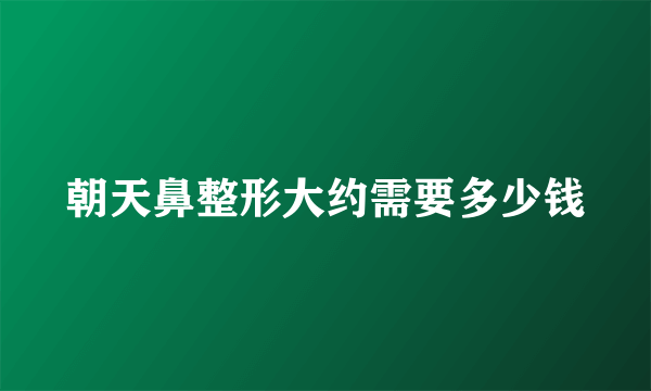 朝天鼻整形大约需要多少钱