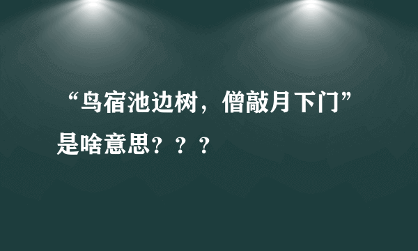 “鸟宿池边树，僧敲月下门”是啥意思？？？