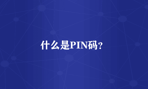 什么是PIN码？