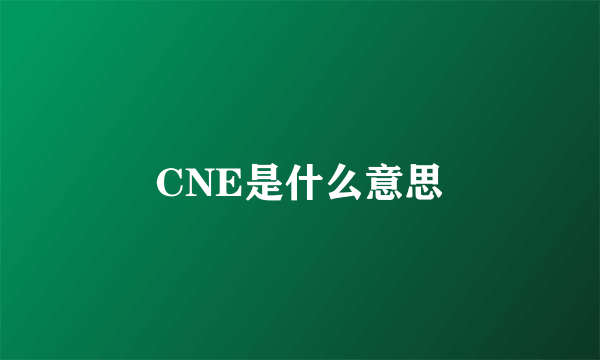 CNE是什么意思