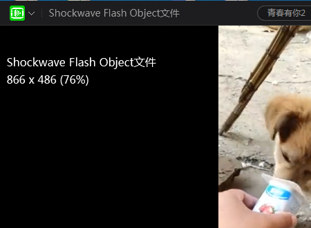 Shockwave Flash Object文件怎么打开?