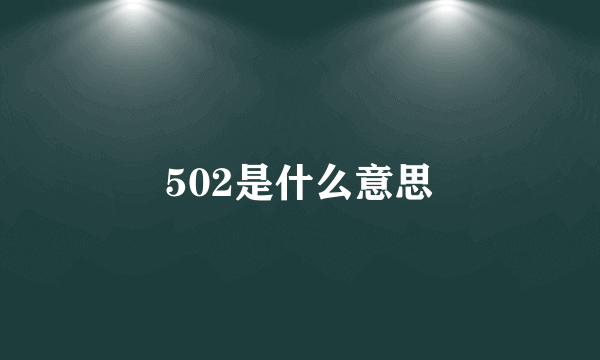 502是什么意思