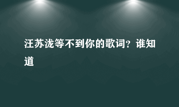 汪苏泷等不到你的歌词？谁知道